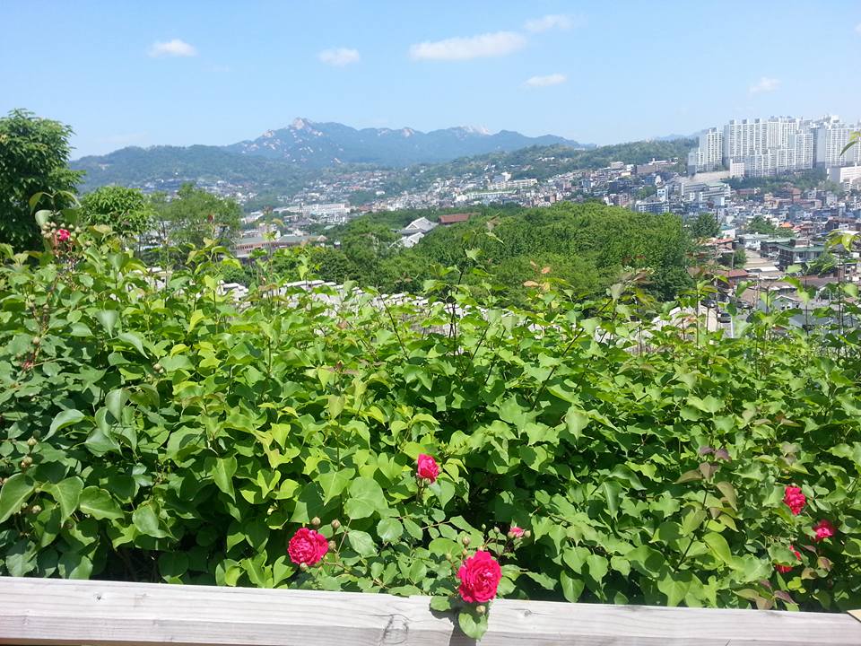 Beautiful gardens surround Seoul City Wall 