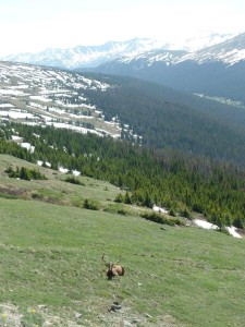 Rocky Mountain National Park