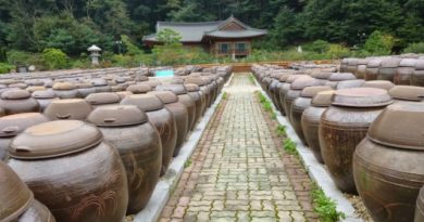 kimchi pots
