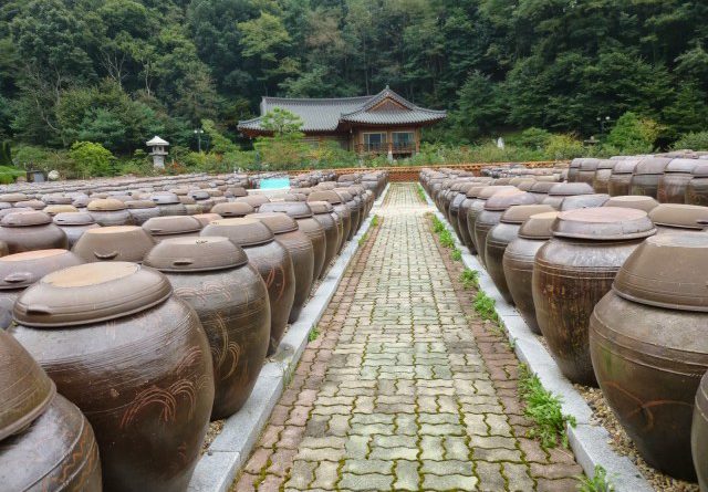 kimchi pots