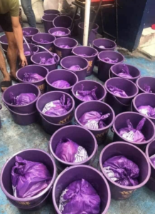 purple bucket